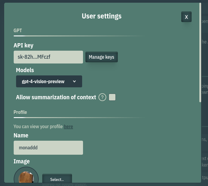 User settings interface